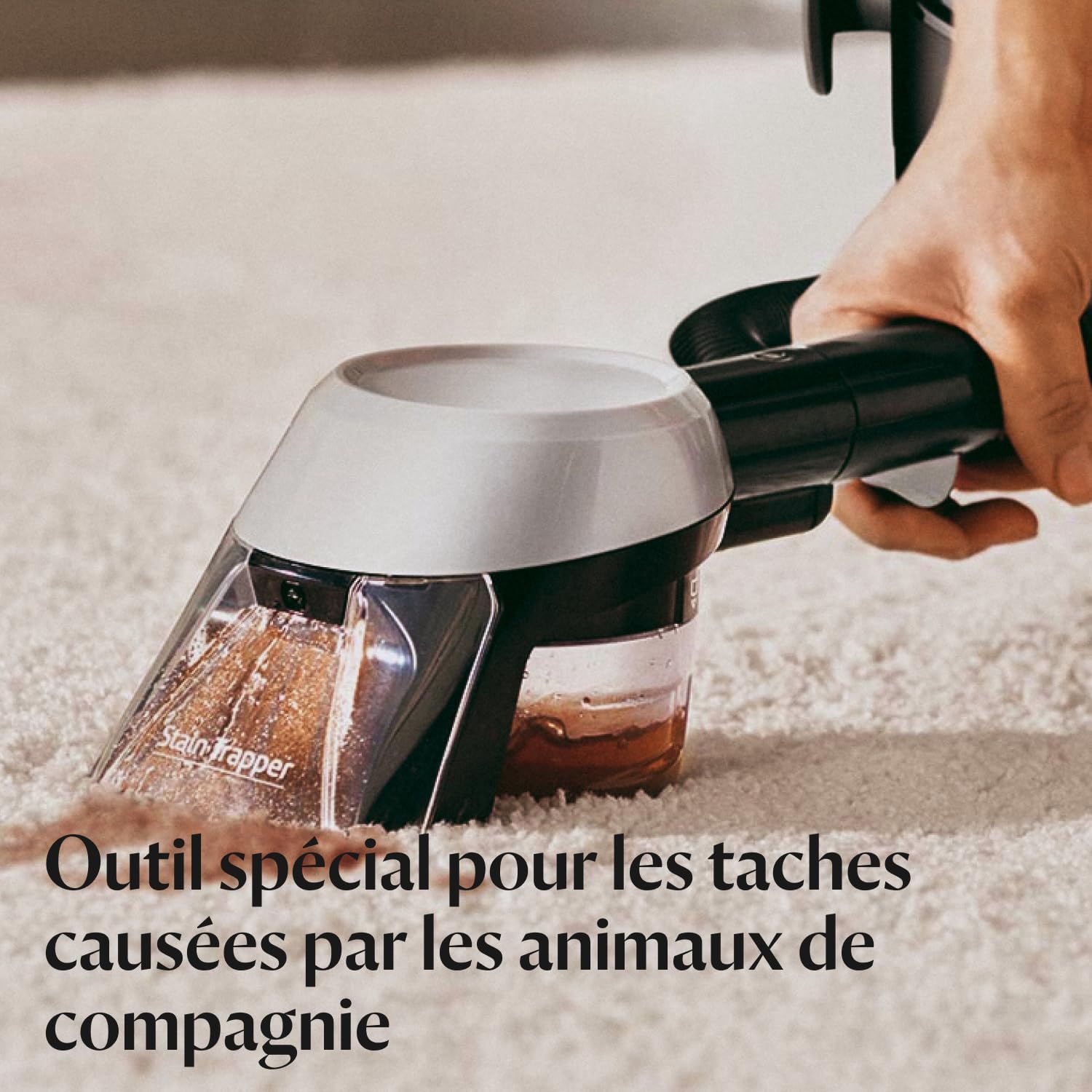 Main passant l’outil piège-taches du SpotClean Pet Pro sur une moquette claire, l’eau sale visible dans le réservoir transparent de l’outil