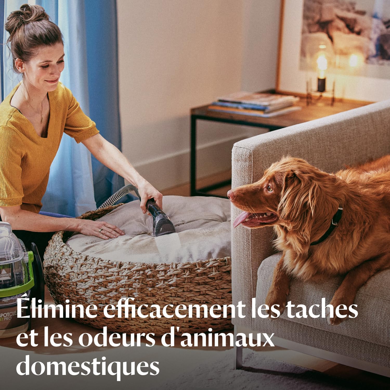 Femme éliminant les taches et les odeurs d’animaux sur un panier posé près d’un canapé, avec le SpotClean Pet Pro et son chien roux à côté d’elle